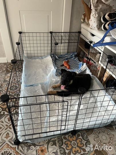 Вольер для щенков в квартиру