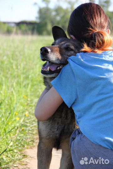 Малыш - лучший друг из приюта