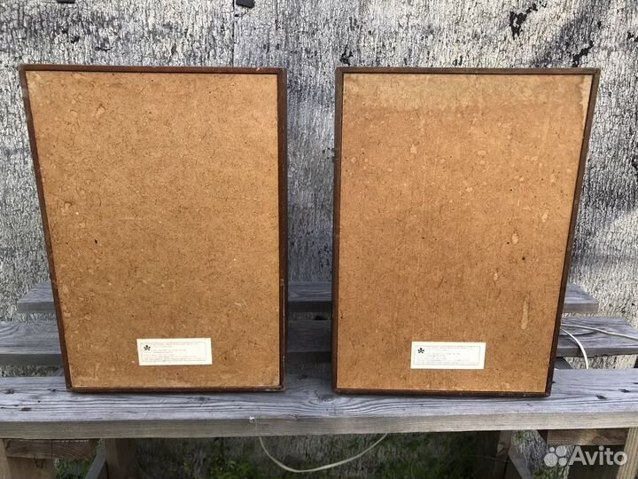 Акустическая система