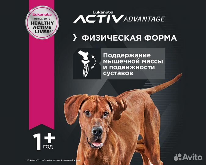 Корм Eukanuba для собак крупных пород, 3кг