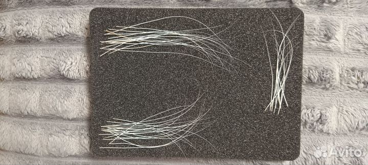 Усы кота Мейн Куна