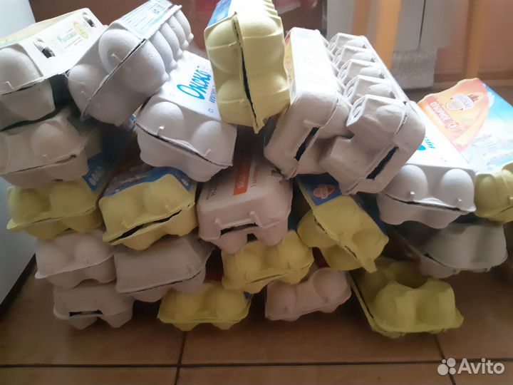 Ячейки для яиц