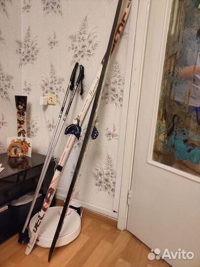 Беговые лыжи delta