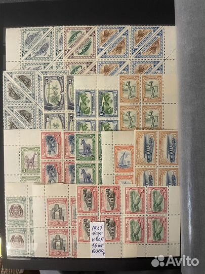 Флора,фауна