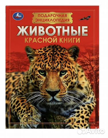 Новая книга