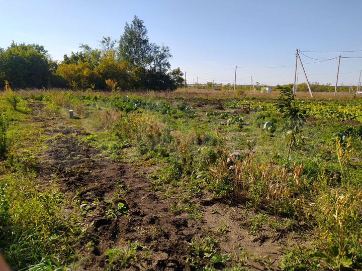 Участок 10 сот. (ИЖС)