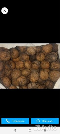 Орех грецкий