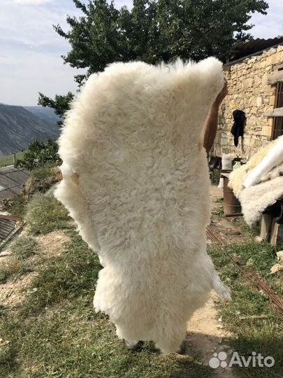 Овечьи Шкуры