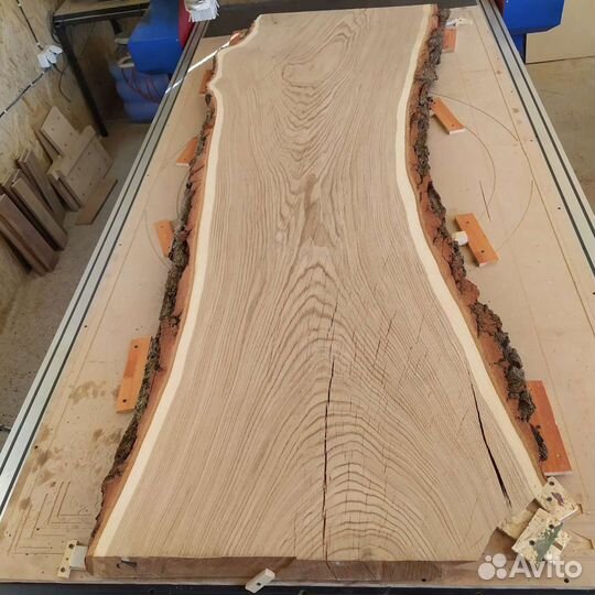 Слэб дубовый. Дуб Кавказский