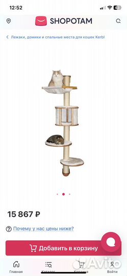 Комплекс настенный для кошек