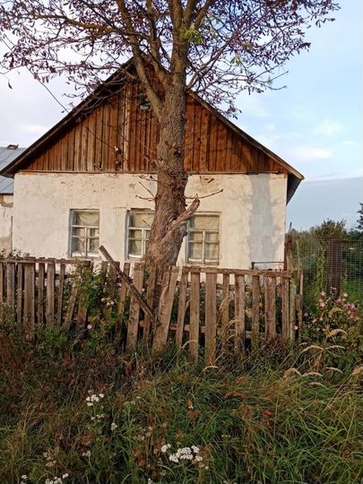 Дом 54,6 м² на участке 46,7 сот.