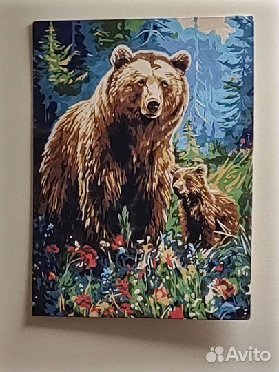 Картины по номерам раскрашенная