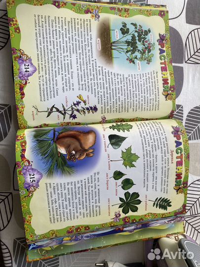 Энциклопедия дошкольника