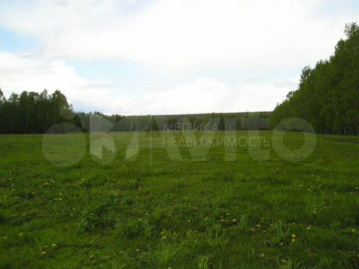 Участок 8,3 сот. (СНТ, ДНП)