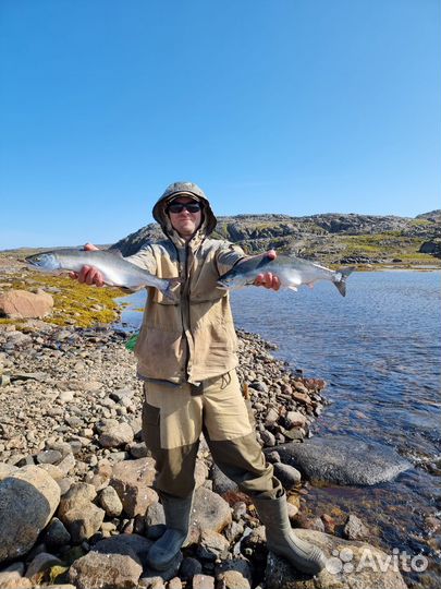 Рыбалка на Кольском. Треска, Горбуша