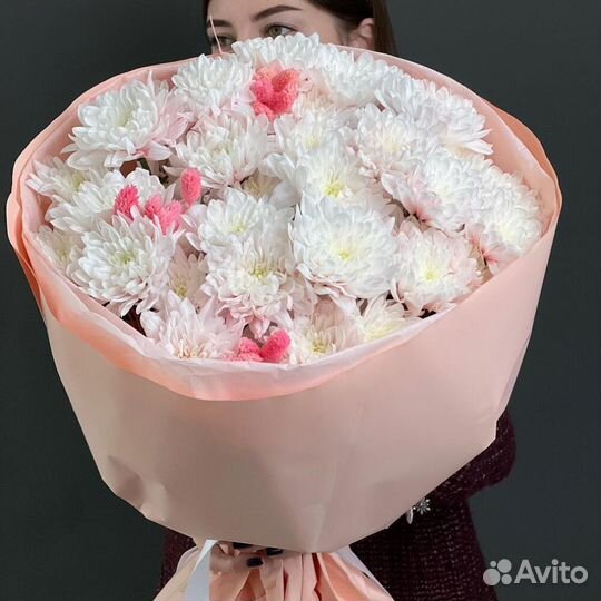 Хризантема 