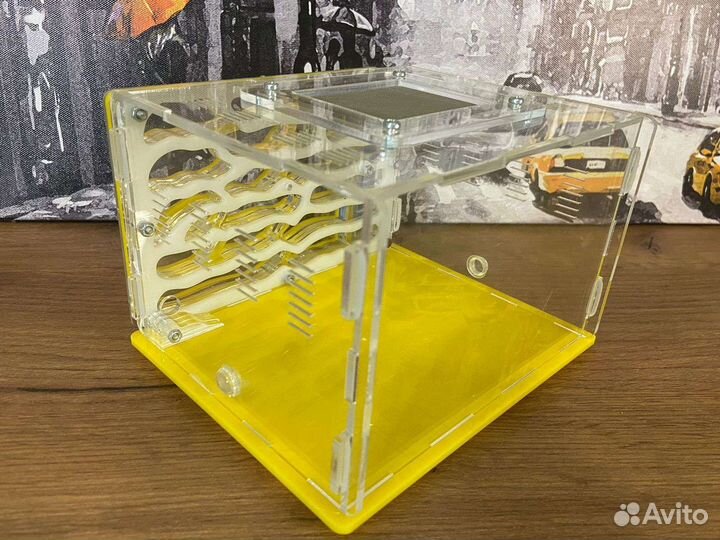 Муравьиная ферма без муравьев