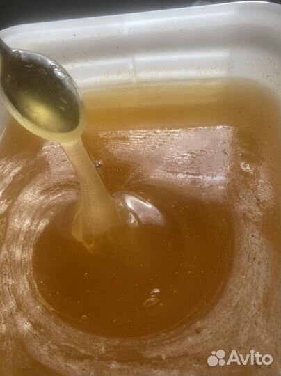 Свежий мед 2023г