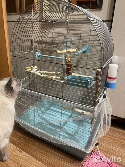 Продам клетку для попугая