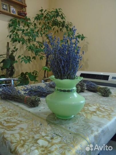 Лаванда на вес или пучки