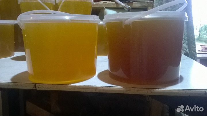 Мед оптом с пасеки Араптанова Н. А