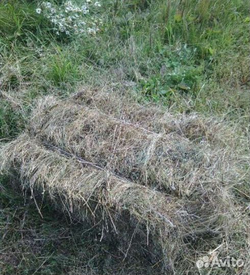 Сено брикет и Рулон опт и розница