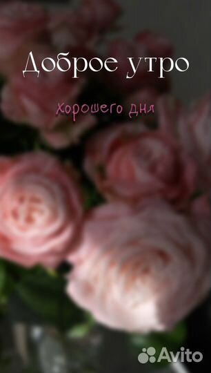 Smm-специалист/создание визуала