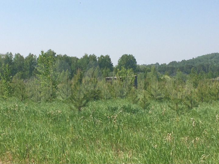 Участок 10 сот. (СНТ, ДНП)