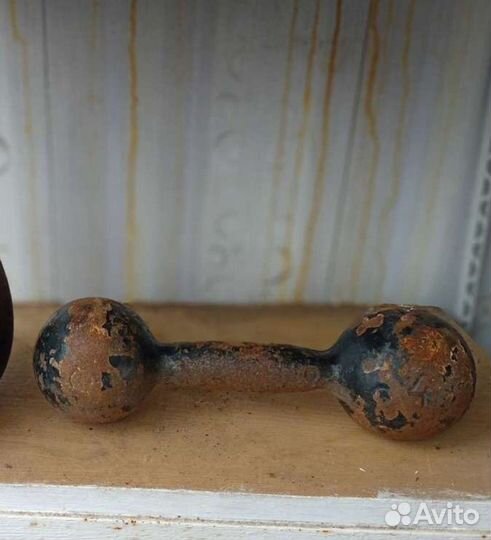 Гантеля 4 кг