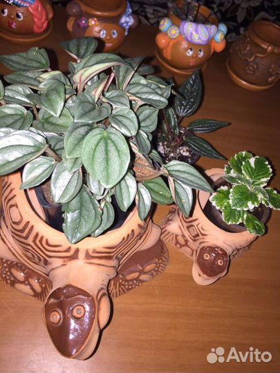 Кашпо керамика Черепашка