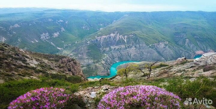 Экскурсии по Дагестану