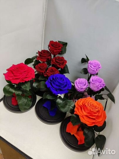 Роза в колбе оптом и в розницу