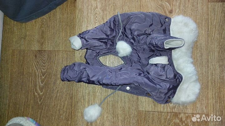 Одежда для маленьких собак 7 костюмов 2 пары обуви