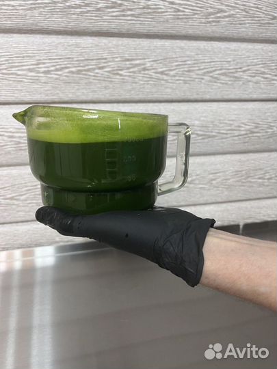 Витграсс - сок из ростков пшеницы