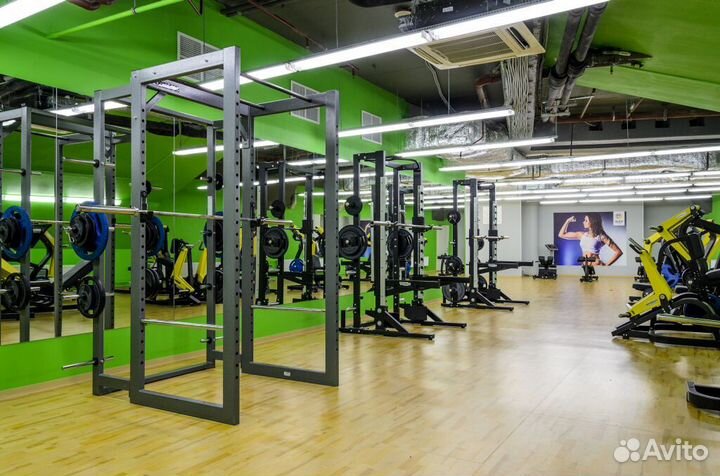 Абонементы алекс фитнес спб. Фото абонемента алекс фитнес. Абонементы алекс фитнес спб. Абонементы алекс фитнес спб. Абонемент в фитнес.
