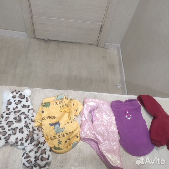 Одежда для собак мелких пород