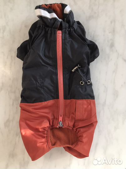 Одежда для собак