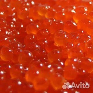 Красная икра кижуча 2023