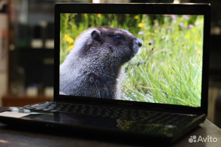 Ноутбук Lenovo G580 SSD120 (Гарантия 12мес.)