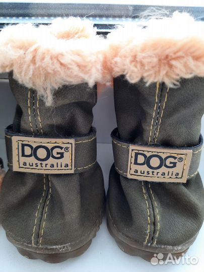 Ботинки для маленьких собак