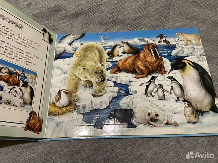 Детская книга пазл