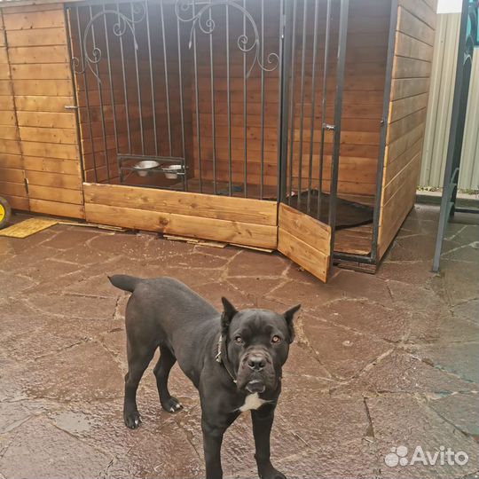 Вольер для собак
