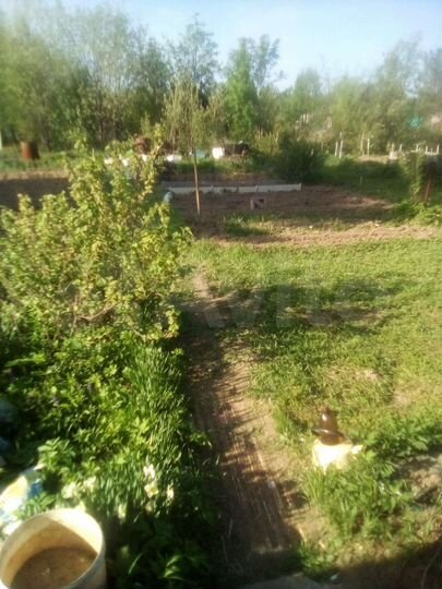 Дача 55 м² на участке 5,8 сот.