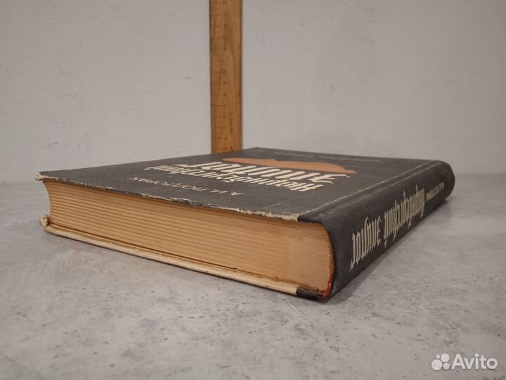 Полторак А.И. Нюрнбергский эпилог