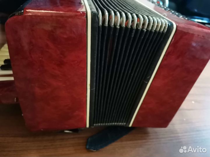 Гармонь ту 416-80-88