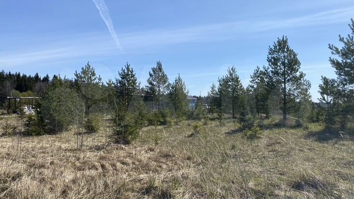 Участок 12,9 сот. (СНТ, ДНП)