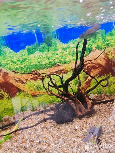 Аквариум с тумбой