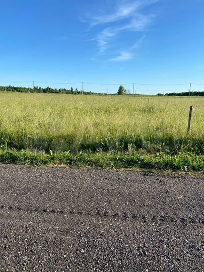 Участок 11,3 сот. (ИЖС)