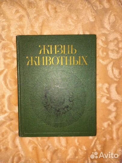 Энциклопедии Жизнь Животных