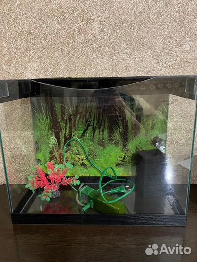Аквариум
